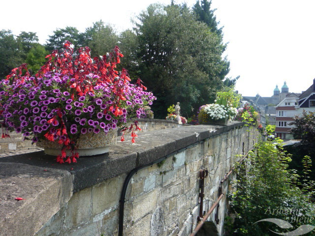 PAYS - Parc - Fleures